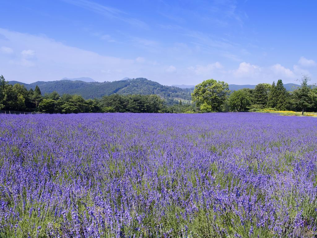 Menard Aoyama Resort: Wafukan Utatsukasa Iga Екстериор снимка